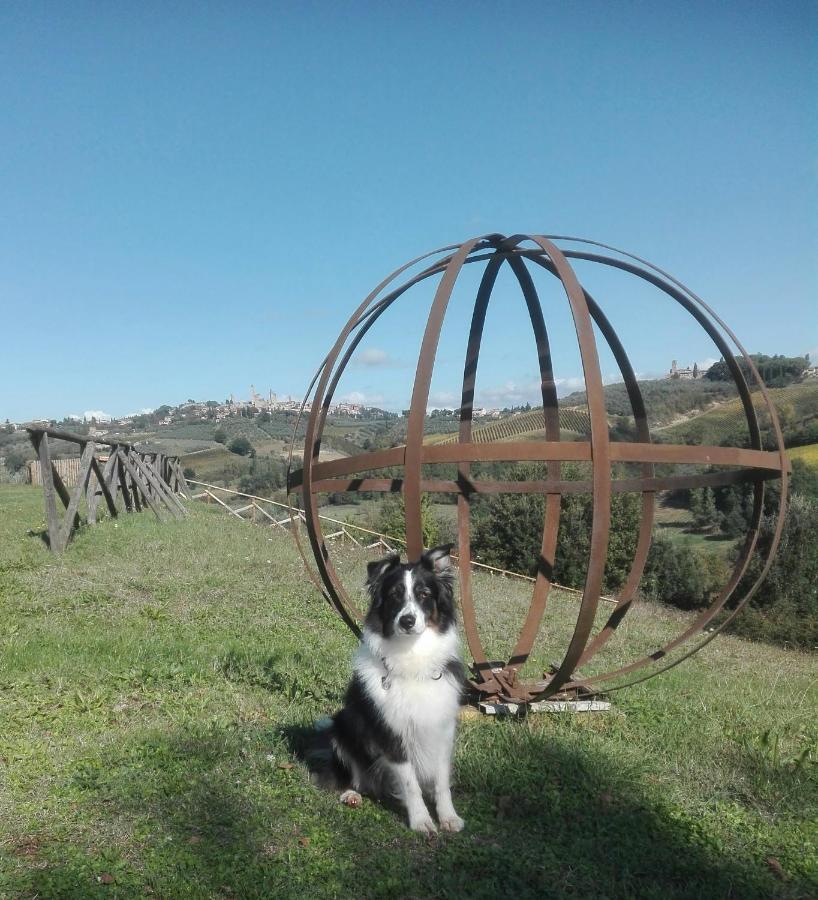 Agriturismo Poggiacolle Villa San Gimignano Kültér fotó