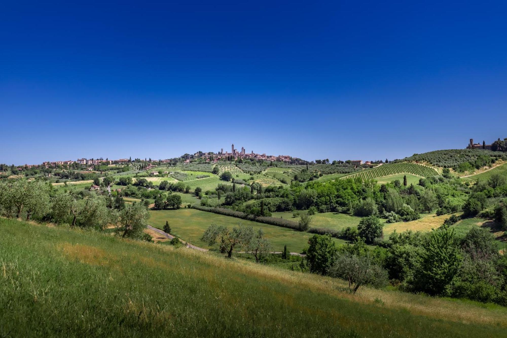 Agriturismo Poggiacolle Villa San Gimignano Kültér fotó