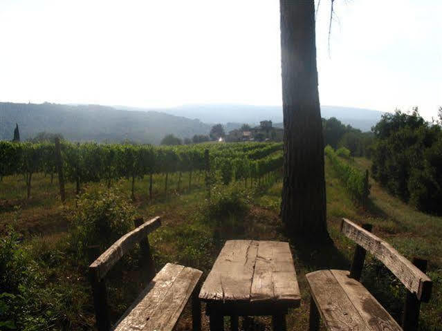 Agriturismo Poggiacolle Villa San Gimignano Kültér fotó