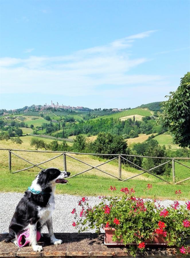 Agriturismo Poggiacolle Villa San Gimignano Kültér fotó